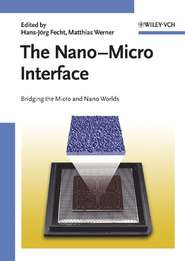 бесплатно читать книгу The Nano-Micro Interface автора Matthias Werner