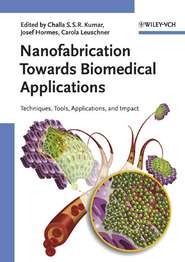бесплатно читать книгу Nanofabrication Towards Biomedical Applications автора Josef Hormes