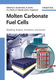 бесплатно читать книгу Molten Carbonate Fuel Cells автора Kai Sundmacher