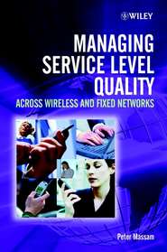 бесплатно читать книгу Managing Service Level Quality автора Peter Massam