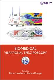 бесплатно читать книгу Biomedical Vibrational Spectroscopy автора Peter Lasch