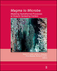 бесплатно читать книгу Magma to Microbe автора Anna Metaxas