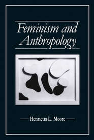 бесплатно читать книгу Feminism and Anthropology автора Henrietta Moore