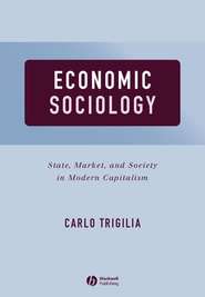 бесплатно читать книгу Economic Sociology автора Carlo Trigilia