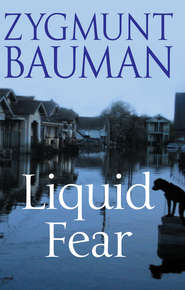 бесплатно читать книгу Liquid Fear автора Zygmunt Bauman