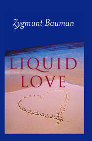 бесплатно читать книгу Liquid Love автора Zygmunt Bauman