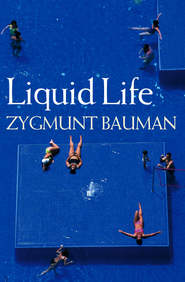 бесплатно читать книгу Liquid Life автора Zygmunt Bauman