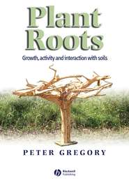 бесплатно читать книгу Plant Roots автора Peter Gregory