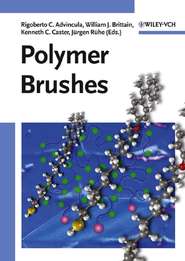бесплатно читать книгу Polymer Brushes автора Kenneth Caster