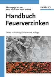 бесплатно читать книгу Handbuch Feuerverzinken автора Peter Peißker