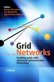 бесплатно читать книгу Grid Networks автора Franco Travostino