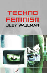 бесплатно читать книгу TechnoFeminism автора Judy Wajcman