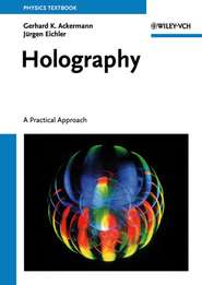 бесплатно читать книгу Holography автора Jurgen Eichler