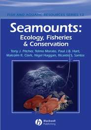 бесплатно читать книгу Seamounts автора Telmo Morato