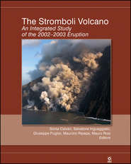 бесплатно читать книгу The Stromboli Volcano автора Sonia Calvari
