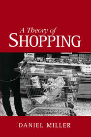 бесплатно читать книгу A Theory of Shopping автора Daniel Miller