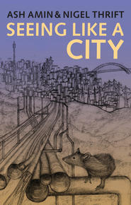 бесплатно читать книгу Seeing Like a City автора Ash Amin