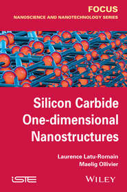 бесплатно читать книгу Silicon Carbide One-dimensional Nanostructures автора Laurence Latu-Romain