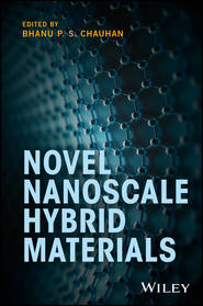 бесплатно читать книгу Novel Nanoscale Hybrid Materials автора Bhanu P. S. Chauhan