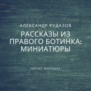 бесплатно читать книгу Миниатюры автора Александр Рудазов