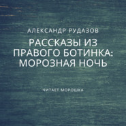 бесплатно читать книгу Морозная ночь автора Александр Рудазов