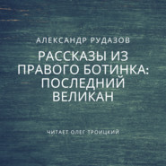 бесплатно читать книгу Последний великан автора Александр Рудазов
