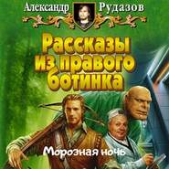 бесплатно читать книгу Морозная ночь автора Александр Рудазов