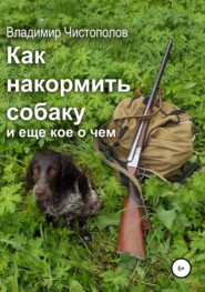 бесплатно читать книгу Как накормить собаку и еще кое о чем автора Владимир Чистополов