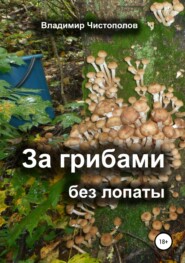 бесплатно читать книгу За грибами без лопаты автора Владимир Чистополов