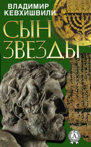 бесплатно читать книгу Сын Звезды автора Владимир Кевхишвили