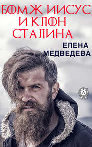 бесплатно читать книгу Бомж Иисус и клон Сталина автора Елена Медведева