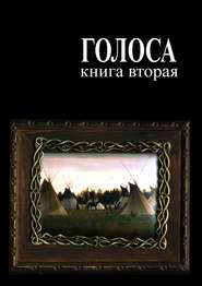 бесплатно читать книгу Голоса. Книга вторая. История движения индеанистов автора Андрей Ветер