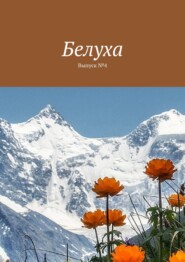 бесплатно читать книгу Белуха. Выпуск №4 автора Виктор Свинаренко