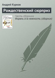 бесплатно читать книгу Рождественский сюрприз автора Андрей Курков