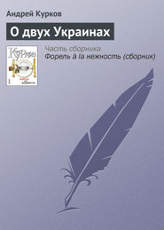 бесплатно читать книгу О двух Украинах автора Андрей Курков