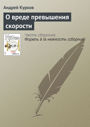 бесплатно читать книгу О вреде превышения скорости автора Андрей Курков