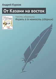 бесплатно читать книгу От Казани на восток автора Андрей Курков