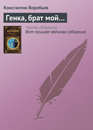 бесплатно читать книгу Генка, брат мой… автора Константин Воробьев
