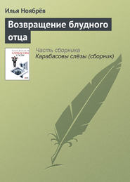 бесплатно читать книгу Возвращение блудного отца автора Илья Ноябрёв