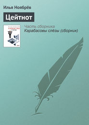 бесплатно читать книгу Цейтнот автора Илья Ноябрёв