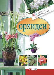 бесплатно читать книгу Орхидеи автора Мария Згурская