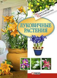 бесплатно читать книгу Луковичные растения автора Татьяна Дорошенко
