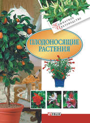 бесплатно читать книгу Плодоносящие растения автора Татьяна Дорошенко