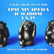 бесплатно читать книгу Три мудреца в одном тазу автора Александр Рудазов