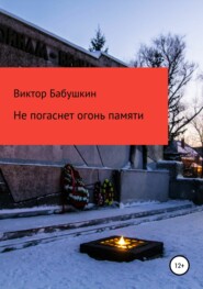 бесплатно читать книгу Не погаснет огонь Памяти автора Виктор Бабушкин