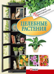 бесплатно читать книгу Целебные растения автора Татьяна Дорошенко