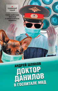 бесплатно читать книгу Доктор Данилов в госпитале МВД автора Андрей Шляхов