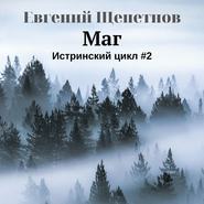 бесплатно читать книгу Маг автора Евгений Щепетнов
