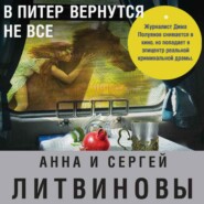 бесплатно читать книгу В Питер вернутся не все автора Анна и Сергей Литвиновы
