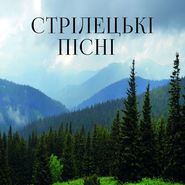 бесплатно читать книгу Стрілецькі пісні автора Народна Народна творчість